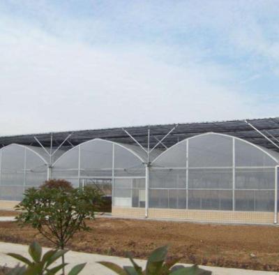 中国 200 micron uv resistant plastic film greenhouse with cheaper price 販売のため