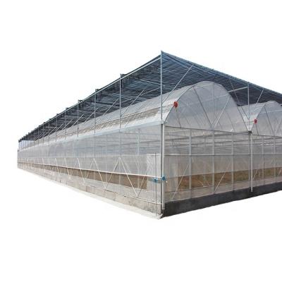 中国 customized UV resistant plastic film greenhouse 販売のため