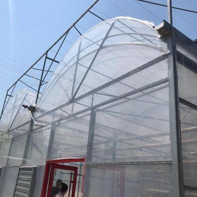 中国 Multi Span Polyethylene Film 150 Micron Greenhouse 販売のため