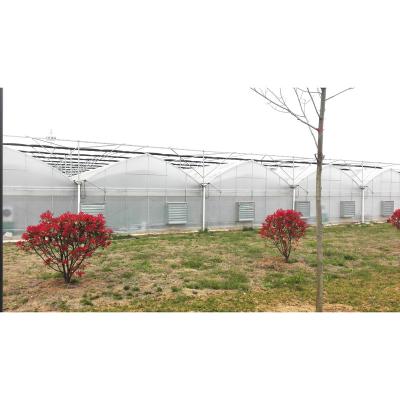 中国 High tunnel green house agriculture greenhouse 販売のため