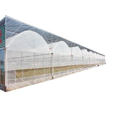 中国 uv protection plastic film greenhouse manufacturer for agriculture 販売のため