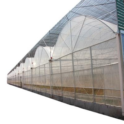 中国 Multi span film greenhouse with hydroponic irrigation system 販売のため