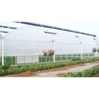 中国 Greenhouse Structure Hydroponics Greenhouse Multi Span Green House 販売のため