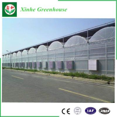 中国 aquaponics,Spain Style Gothic Film Greenhouse 販売のため