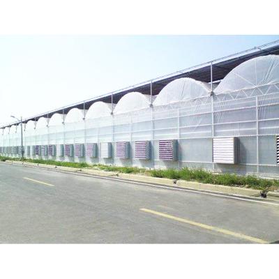 中国 Single span agriculture greenhouse plastic shed film green house 販売のため