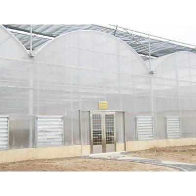 中国 Large Size Greenhouse Multi-span Arch Plastic Film greenhouse Vegetable Greenhouse 販売のため