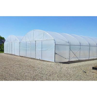 China Agricultural Film Greenhouse Plastic Shed Green House Greenhouse Tunnel for sale