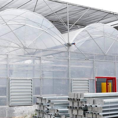 China Commercial Agriculture Plastic Film Greenhouse for Planting Vegetables with hydroponic for sale