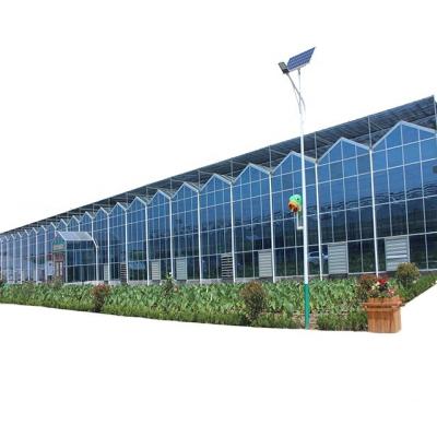 China Commercial smart type glass greenhouse used for sale for sale