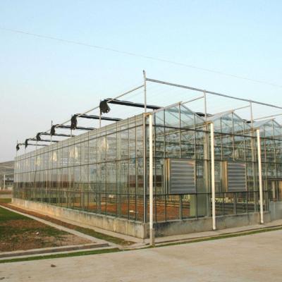 China Multi span poly sheet greenhouse for agriculture for sale