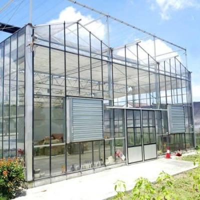 China Commercial glass greenhouse with hydroponic seedbed for sale