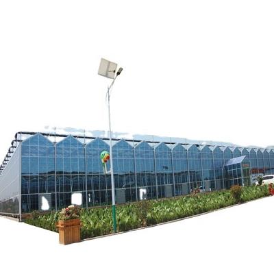 China Commercial glass greenhouse for fruits flowers for sale