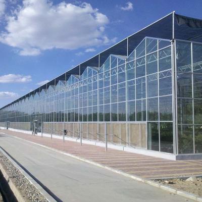 China Factory Price Multi-span Greenhouses glass greenhouse green house steel frame for sale