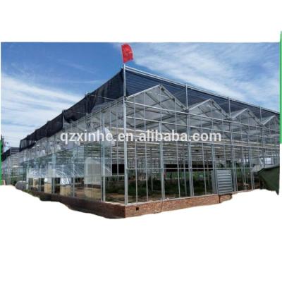 China Top selling greenhouse fish greenhouse modular hothouse with gutter for sale