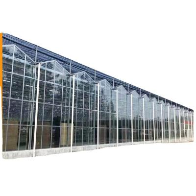 China Large span garden glass greenhouse hydroponic system green house for sale