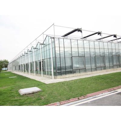 China Agricultural hydroponics venlo glass greenhouse or sunroom zu verkaufen