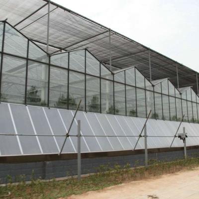 China greenhouse glass roof used commercial glass greenhouses with cooling system for sale