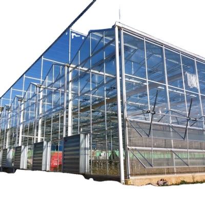 China Galvanized steel structure glass cover used commercial greenhouse for sale