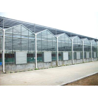 China Agricultural Greenhouses Multi Span Glass Greenhouse Steel Structure Sunroom zu verkaufen