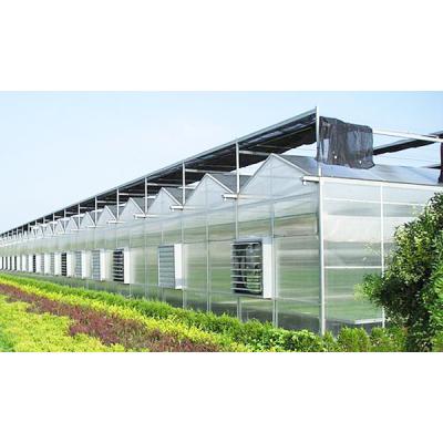 中国 Multi-Span Agricultural Greenhouse Type and Large Size solar greenhouse for fruit/flower/vegetables 販売のため