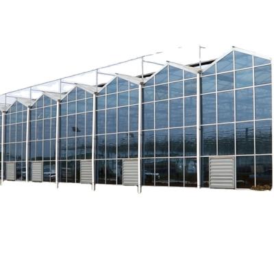 China Agricultural glasshouse glass multi-span greenhouses glass sunroom for sale