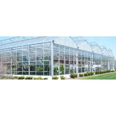 China Easy Assemble AQUAPONIC GREENHOUSE venlo roof greenhouse agricultural glass greenhouse for sale