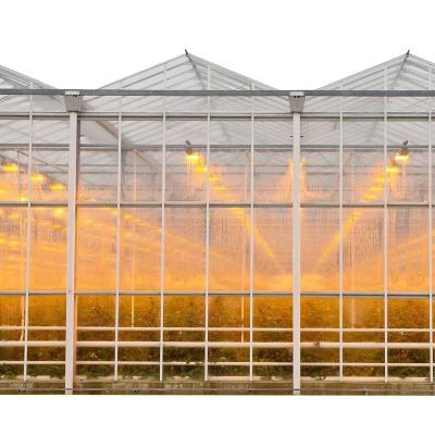 China Serre Modern multi-span glass greenhouse with hydroponic system for agricultural for sale