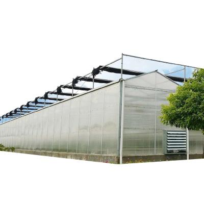 China Various greenhouse supplies pc green house serre agricole for vegetable zu verkaufen