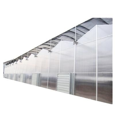 China Automatic Multi-Span Agricultural Greenhouse Farming PC green house for vegetable for sale