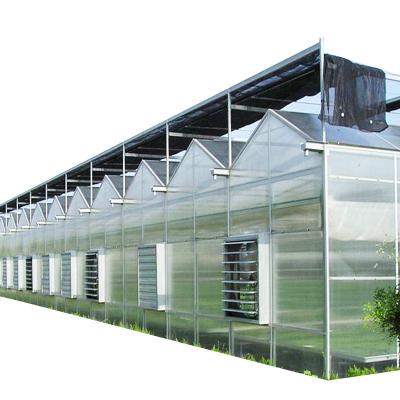 China Commercial Hydroponic System Used Multi-Span Agricultural Greenhouse for sale