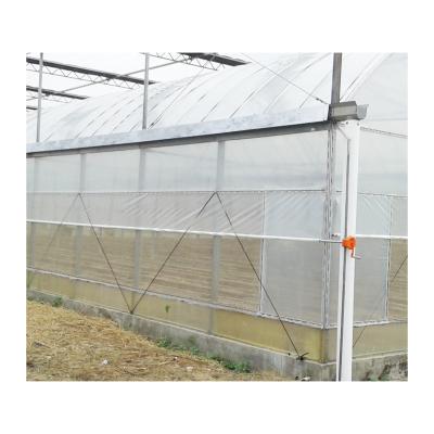 China China Supplier Poly Greenhouse poly tunnel Green house for sale