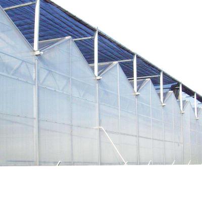 Cina Eco friendly Logo can be customized green house for vegetables hydroponic control system greenhouse for sale in vendita