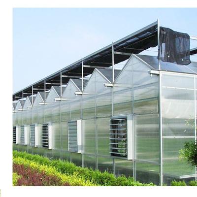 China Multi-span polycarbonate greenhouse Plastic Shed for vegetables for sale