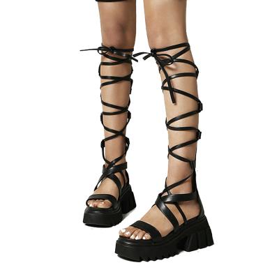 China Fashion Trend Woman Heels Sandals For Roman Cool Fashion Punk Gothic Sandals Gladiator Platform With Zipper for sale