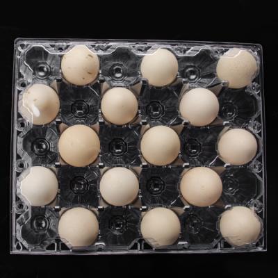 China Cheap Plastic Packing PVC Material Blister Packing Quail Chicken Egg Tray for sale