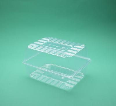 China Disposable Clear Biodegradable PET Fruit Vegetable Plastic Packaging Boxes With Lid for sale