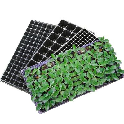 China Eco-Friendly PS Seed Tray Germination Tray Eco-Friendly Biodegradable Seed Starting Tray for sale