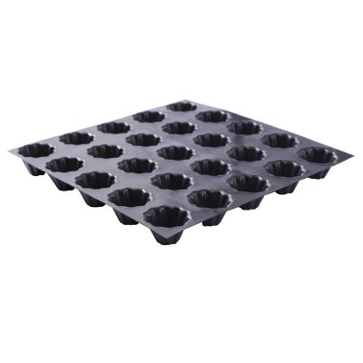 China Contemporary HDPE Dimple Membrane Protection Drainage Boar Dimple Membrane Drainage Board for Garage Roof Rectangle Contemporary Planting TGV for sale