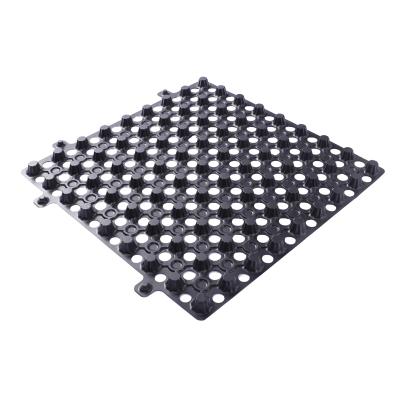 China Contemporary HDPE geomembrane drainage board / dimpled plastic sheet membrane / new drainage products for sale