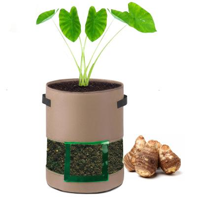 China Morden Single Potato Grow Bag 7 Gallon Heavy Duty Transparent Grow Bags Planting Pots for sale