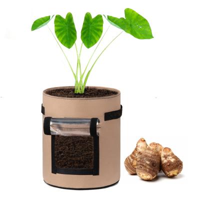 China 5 Gallon Potato Planter Garden Planting Aeration Cloth Vegetable Pots Grow Bags for sale