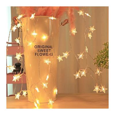 China Christmas Decorations 1KG Battery Operated Star Light String Fairy Lights for Festive for sale