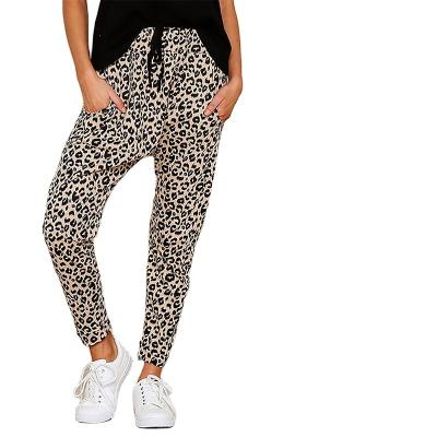 China Anti-wrinkle summer news leopard print small casual slim fit pants women's pants for sale