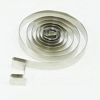 China Apartment ; Sheet ; First-Rate Stainless Steel Constant Power Spring For Toy On Plate ODM/OEM for sale