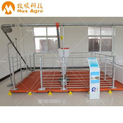 China Easy To Clean Pig Fattening Cages For Pig Farm Equipment Pig Fence for sale