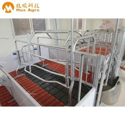 China Farms Hog Crate Factory Direct Sales Adjustable Pig Farrowing Crate For Sale Pig Farm Equipment for sale