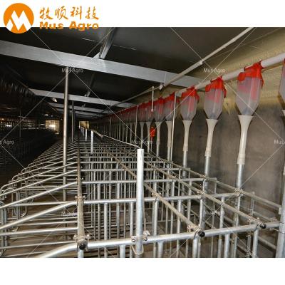 China Durable Long Lasting Galvanized Pipe Gestation Pen Gestation Case for sale