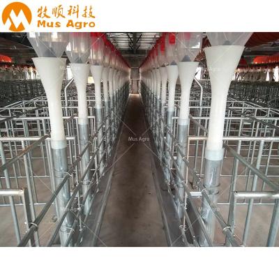 China Durable Farrowing Pig Gestation Crates Adjustable Gestation Stall Pregnant Crates for sale