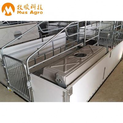 China Farms Pig Equipment For Pig Farrowing Pen Galvanized Pig Pen Farrowing Crate for sale