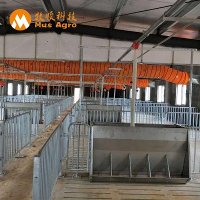 China Easy To Clean Cheap Fatten Finished Crate Crate For Fattening Pig for sale